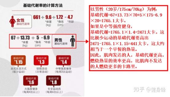 人口代谢率_基础代谢率对照表