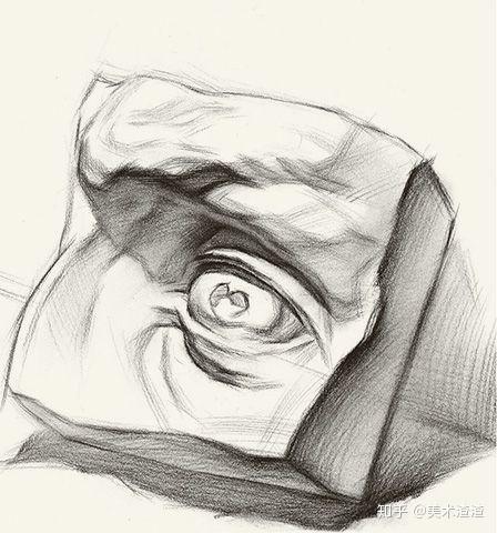 大卫石膏线眼睛结构解析