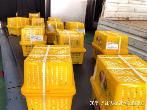 fm水果空运贵州特产李子上市贵阳发李子空运到银川只要10小时