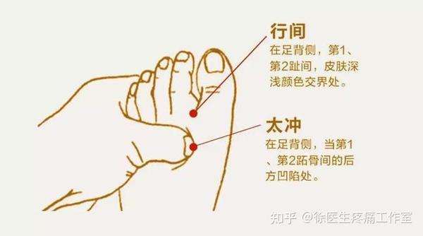 大敦穴、太冲穴、行间穴，人体三大养肝穴位！ - 知乎