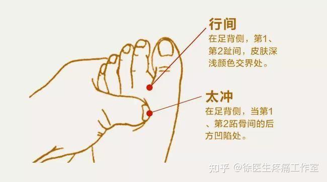 大敦穴、太冲穴、行间穴,人体三大养肝穴位! - 知乎