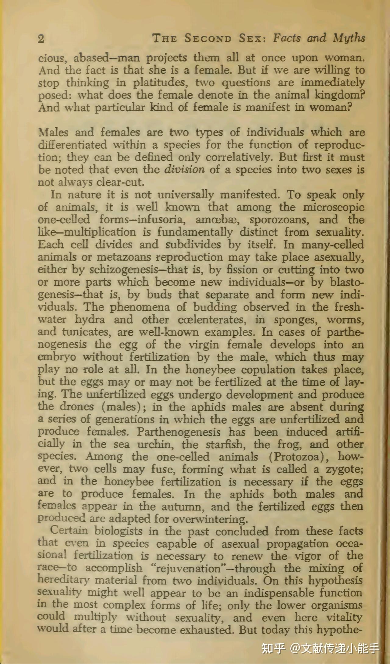 the-second--by-beauvoir-simone-de-1953