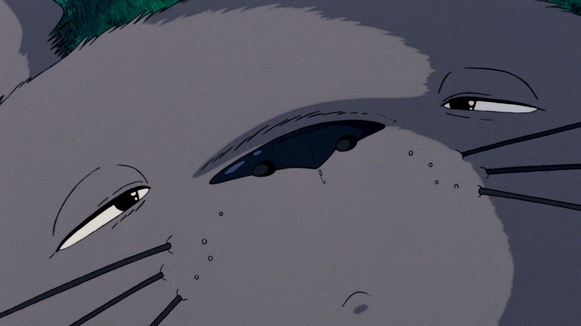 宫崎骏动漫电影《龙猫》电脑壁纸 