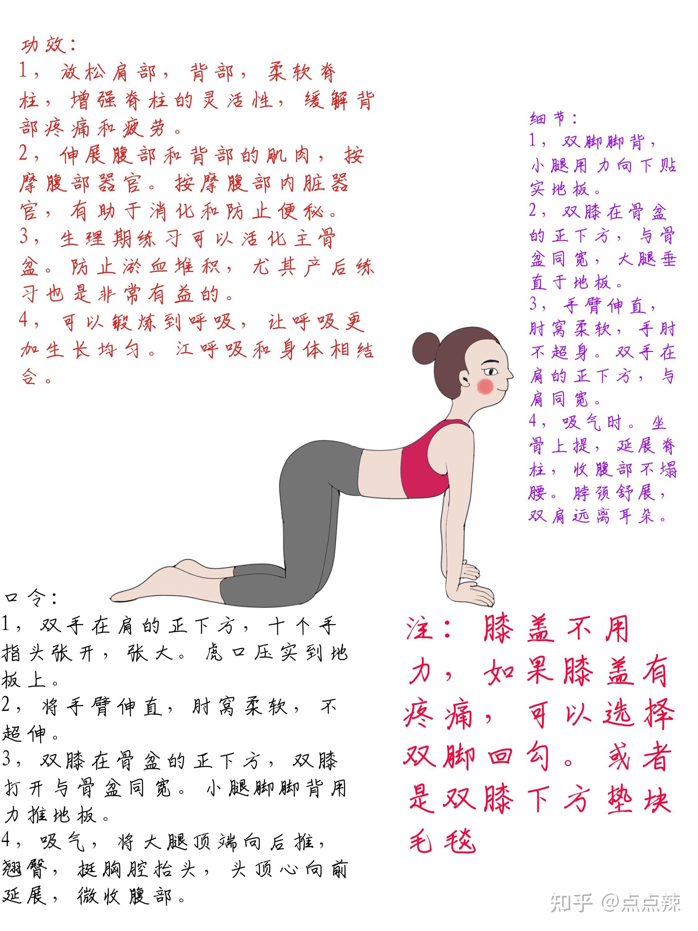 普通小白都可以练习的瑜伽体式详解～猫虎式