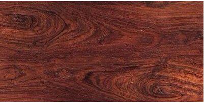 檀香紫檀(印度小叶紫檀)