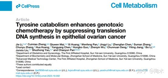 cellmetabolism中山大學團隊首次揭示酪氨酸增強癌症化療效果的背後