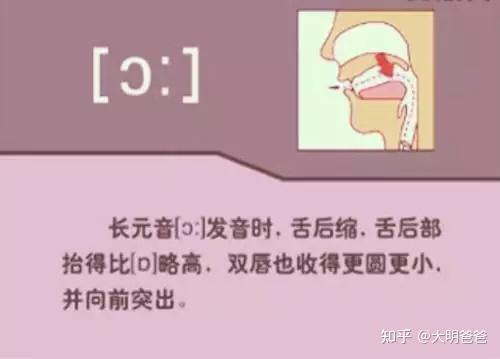 小学英语音标讲解——英语48个音标发音的嘴型和讲解图片，26个字母发音 - 知乎