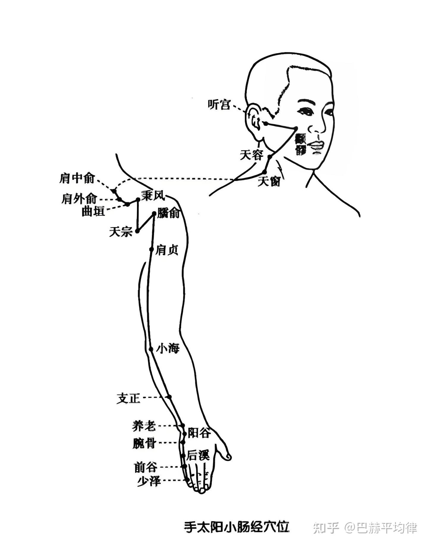 手太阳小肠经的穴位信息表及简要针灸指南 - 知乎