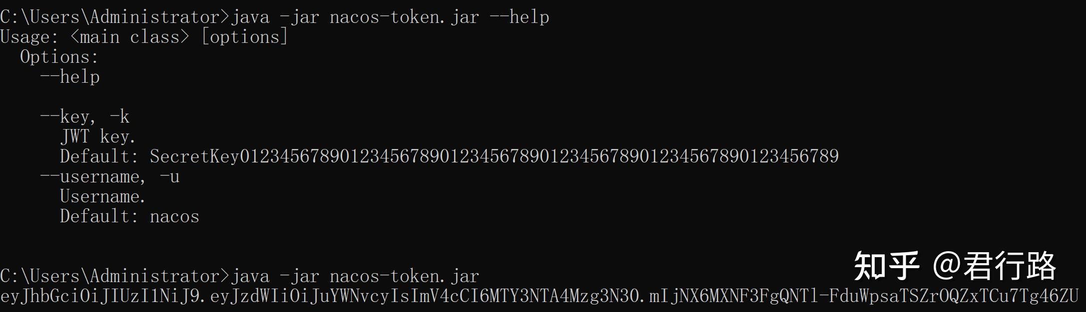  nacos accesstoken 