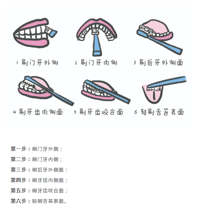 2.圆弧刷牙法从宝宝第一颗牙长出来就要开始用牙膏.