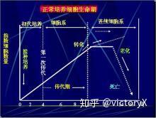 细胞培养的基本知识 1 知乎