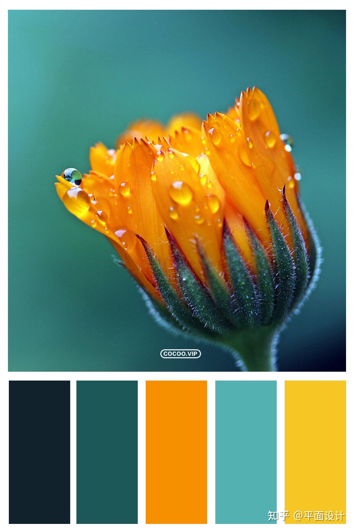 一组色彩搭配方案