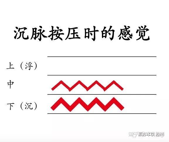 增进了解 除了牵手也可以搭脉 - 知乎