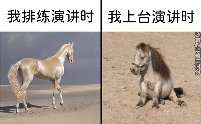 沙雕搞笑迷因梗图meme - 知乎