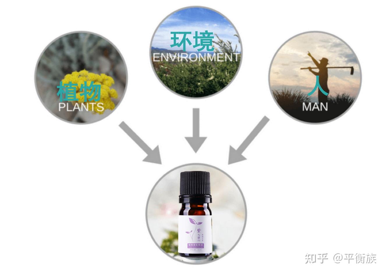 深度解析精油挥发物的本质,你可以认为:植物中并没有精油! - 知乎