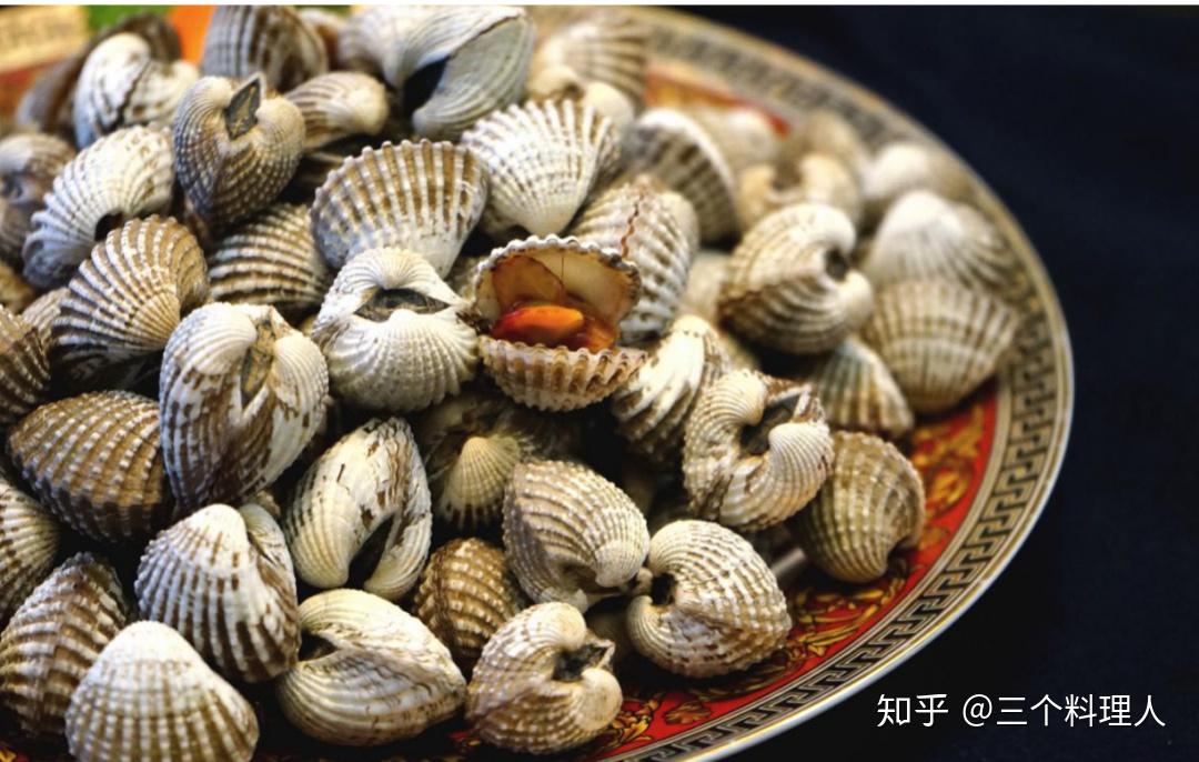蛤蜊蛏子毛蚶蚬子那些好吃的小贝壳今天一次搞清楚