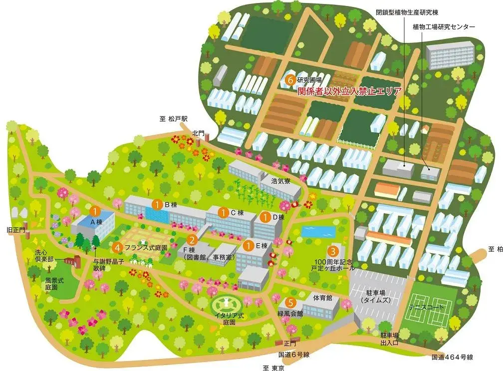 2022年度日本升学考试攻略丨千叶大学