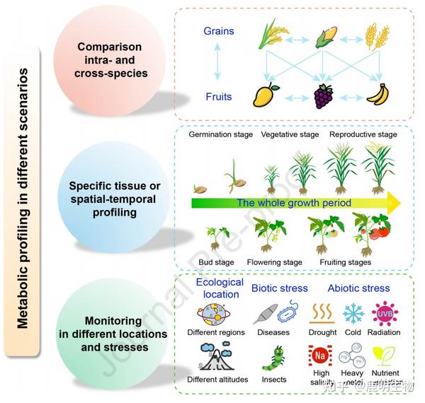 综述：植物代谢组学过去十年研究进展和未来展望 - 知乎