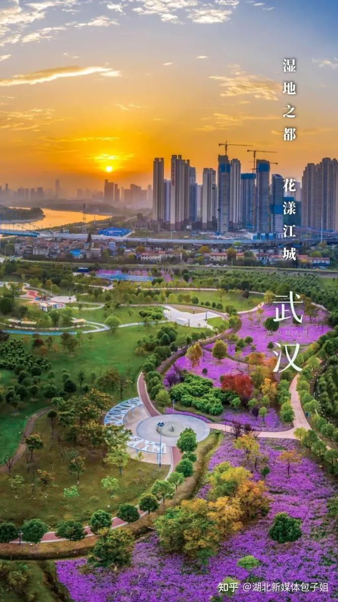 武汉上新了湿地花城上善若水
