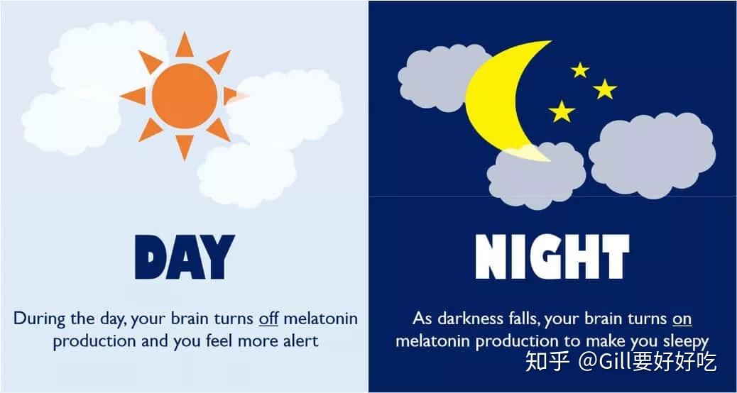 06睡眠/焦虑问题:左色氨酸(l tryptophan)