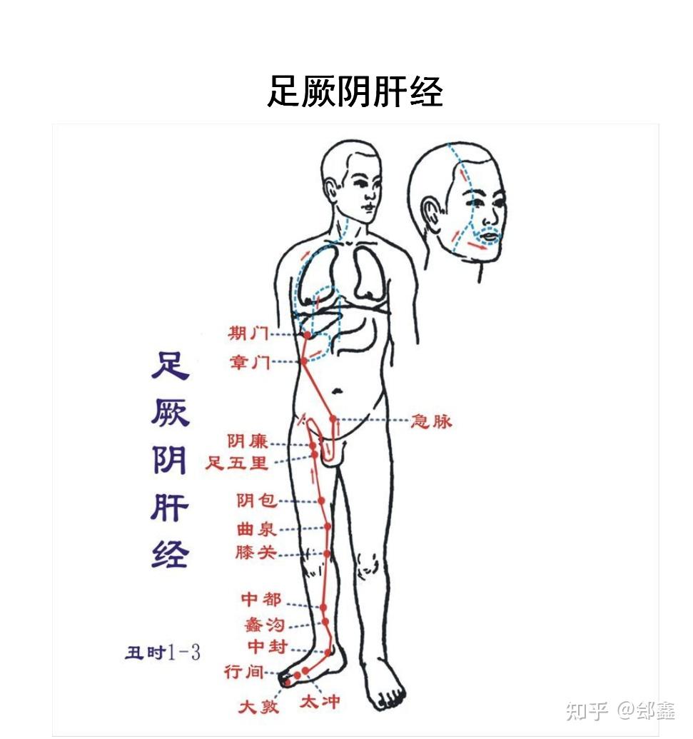 肝脾肿大专治图片