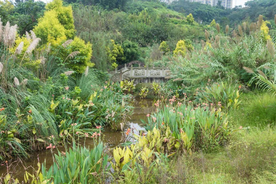 不是乌镇西塘!它才是最美的江南水乡,鲁迅都偏爱,还是国内最上头的城市