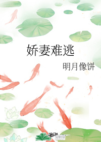 图标