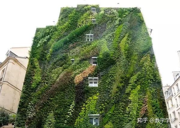 通过疫情,大家开始反思高层住宅,中国人最理想的住宅是什么样的房子 - 知乎