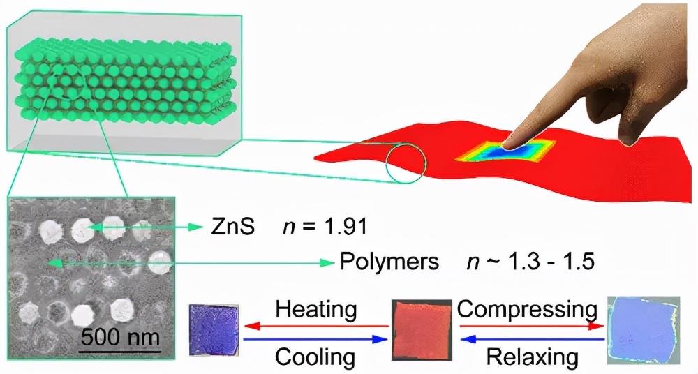acsnano大连理工武素丽超敏感热机械变色响应的人造变色龙皮肤