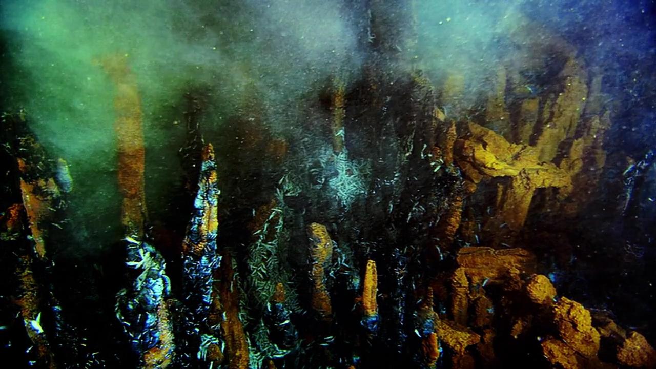 从大洋表面到海底深渊的生命都有怎样的基础?