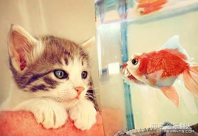 请收藏 最全面的血型与性格分析知识 知乎