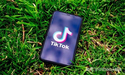 tiktok英国直播原生ip_tiktok英国直播原生ip_tiktok英国直播原生ip