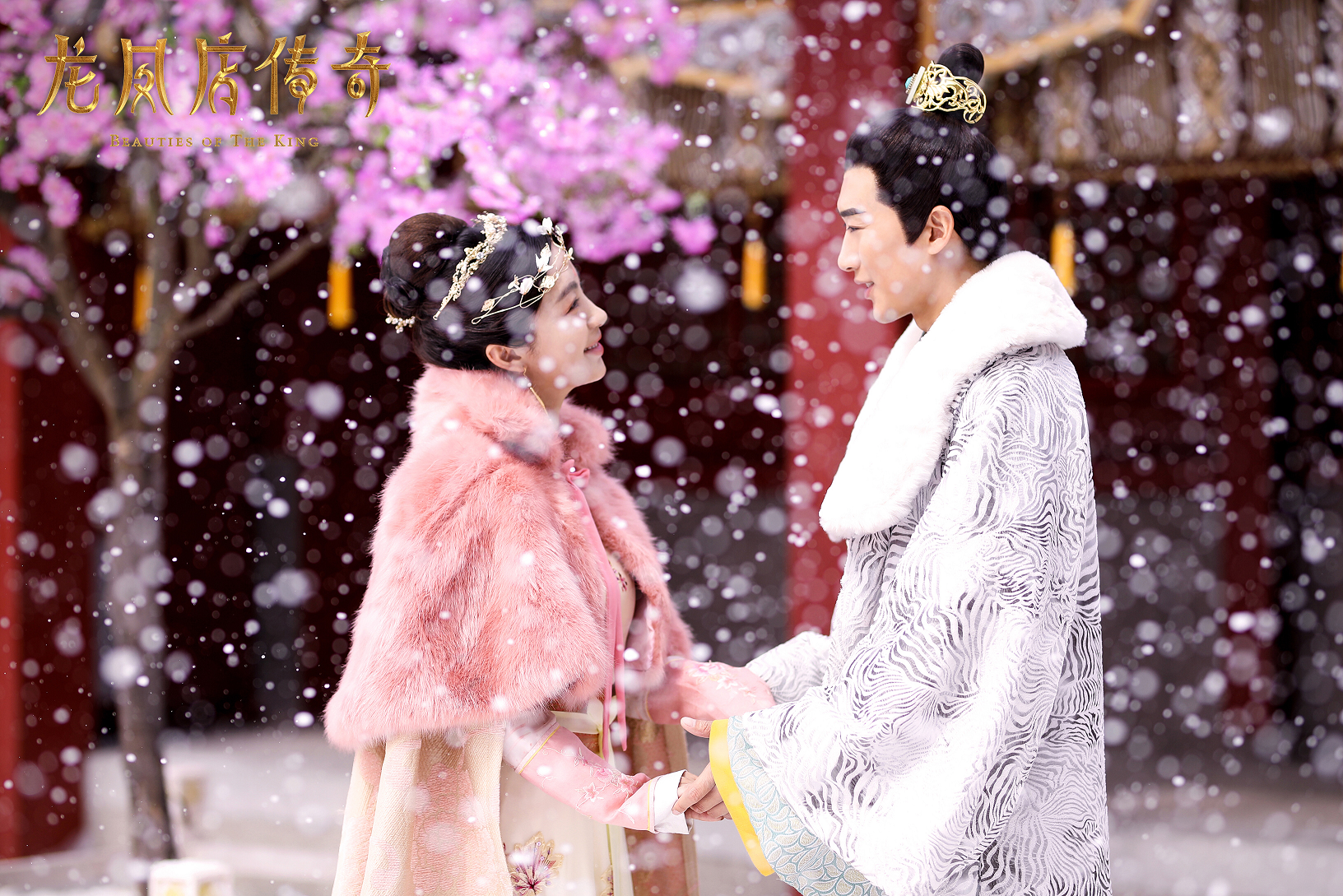 龙凤店传奇甜虐底色争宠权谋为辅的经典传奇