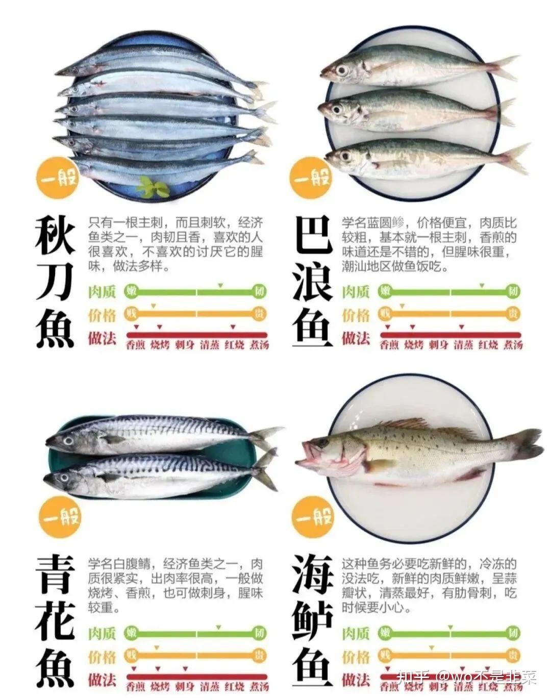寻渔记|好吃又少刺的海鱼,你最爱哪一款? - 知乎