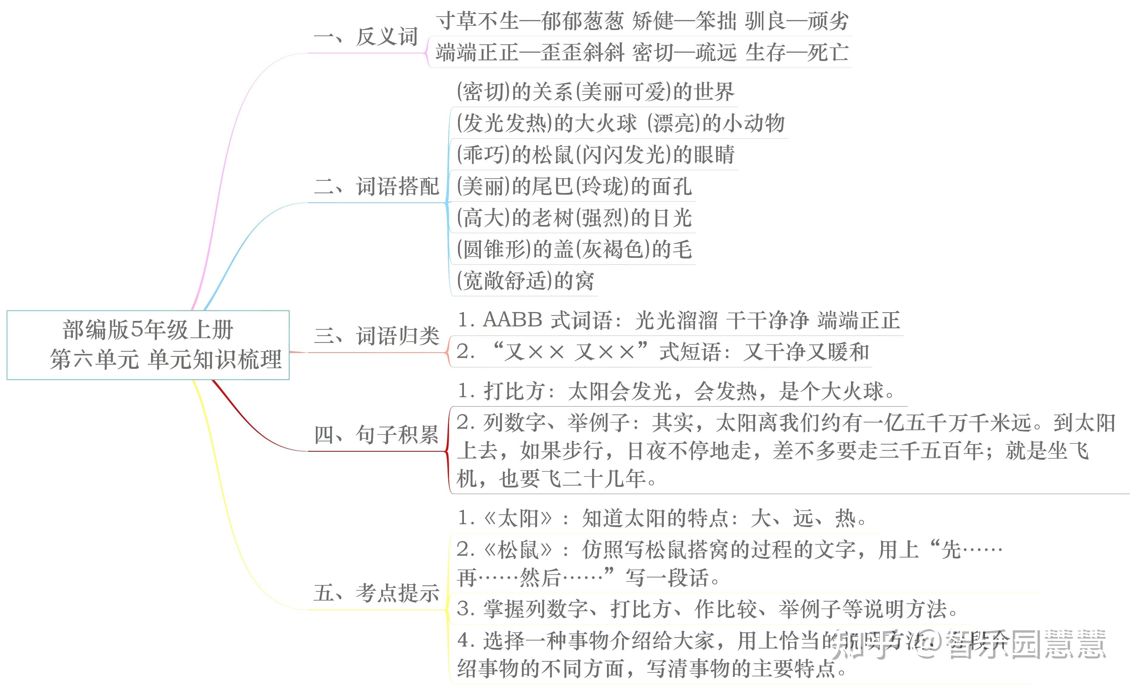 部编版五年级语文上册单元知识思维导图