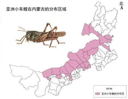 什么叫做变态发育和不变态发育 v2-46c18edcc7f4b94840a64b244626ee37_r.jpg