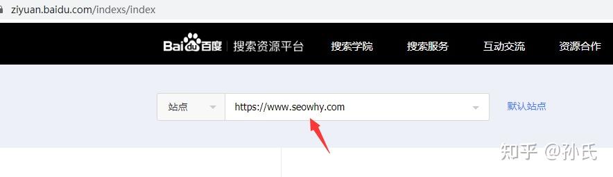 搜索引擎 外网（seo搜外网）