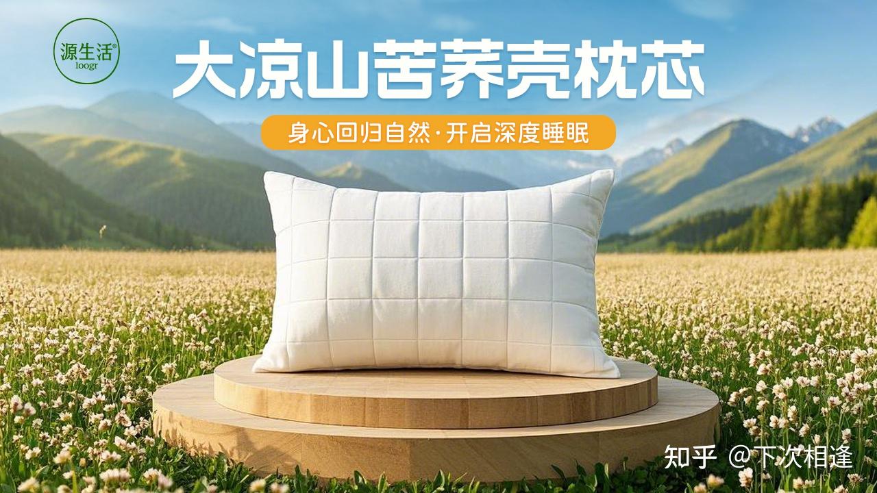 2025荞麦枕头选购指南,罗莱,富安娜,睡眠博士,源生活等品牌高性价比枕头推荐,到底该怎么选?【业内人士带你挑选】 - 知乎