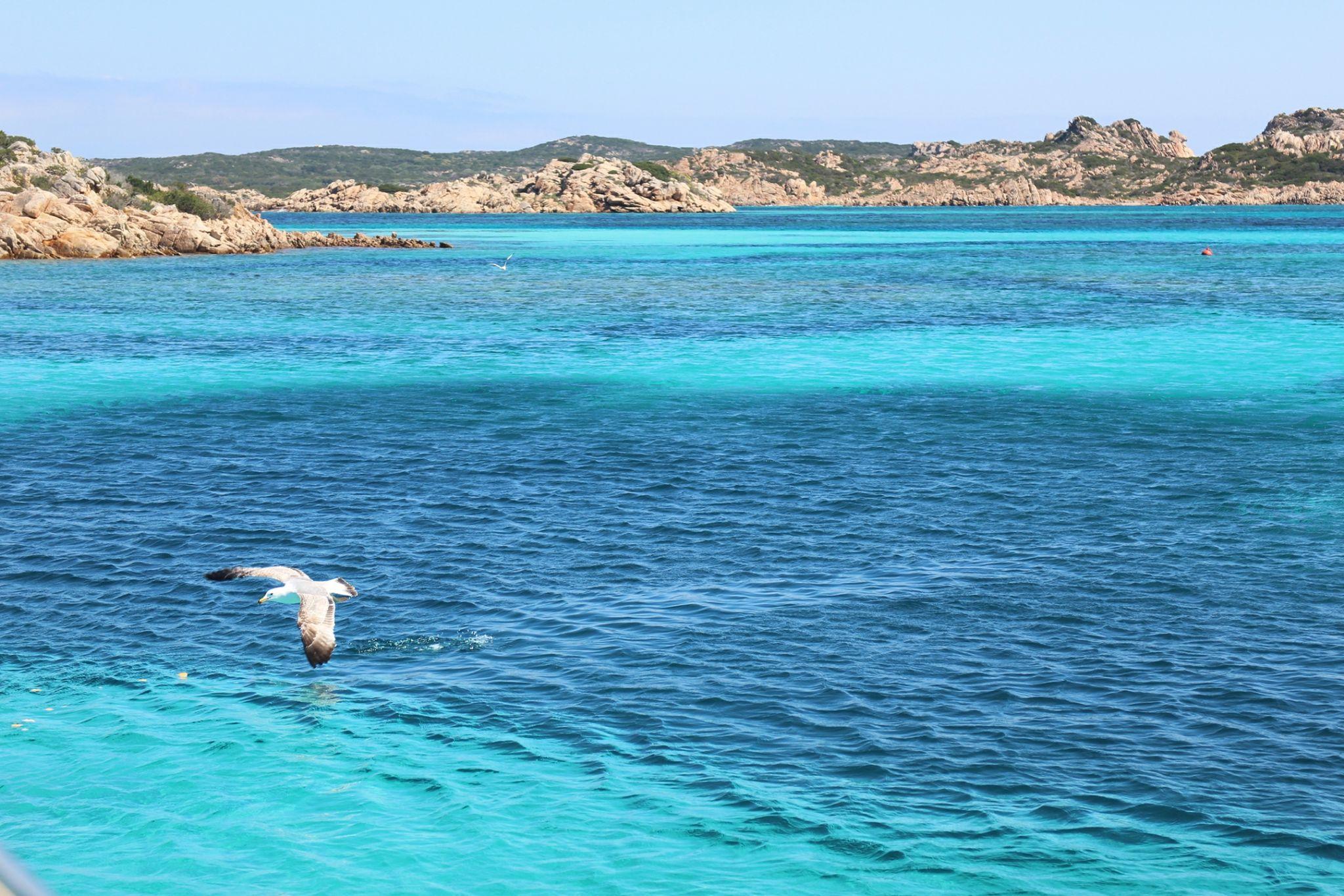 撒丁岛lamandalena丨无人之境