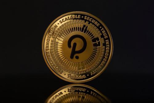 dot和fil哪个更值得投资