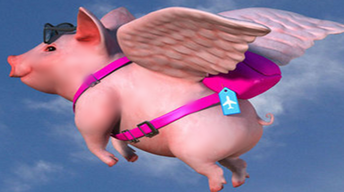 会飞的猪猪 - 知乎