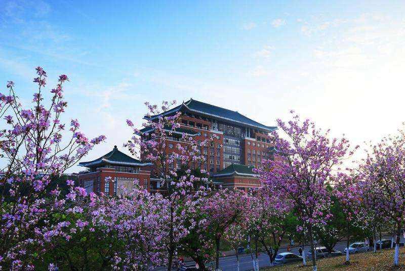 华南农业大学是全国重点大学,广东省和农业部共建的211工程大学
