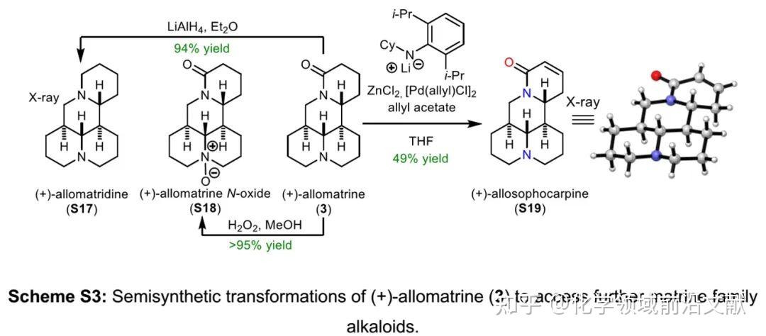 JACS:两次HDA反应实现多个苦参碱的高效全合成 - 知乎
