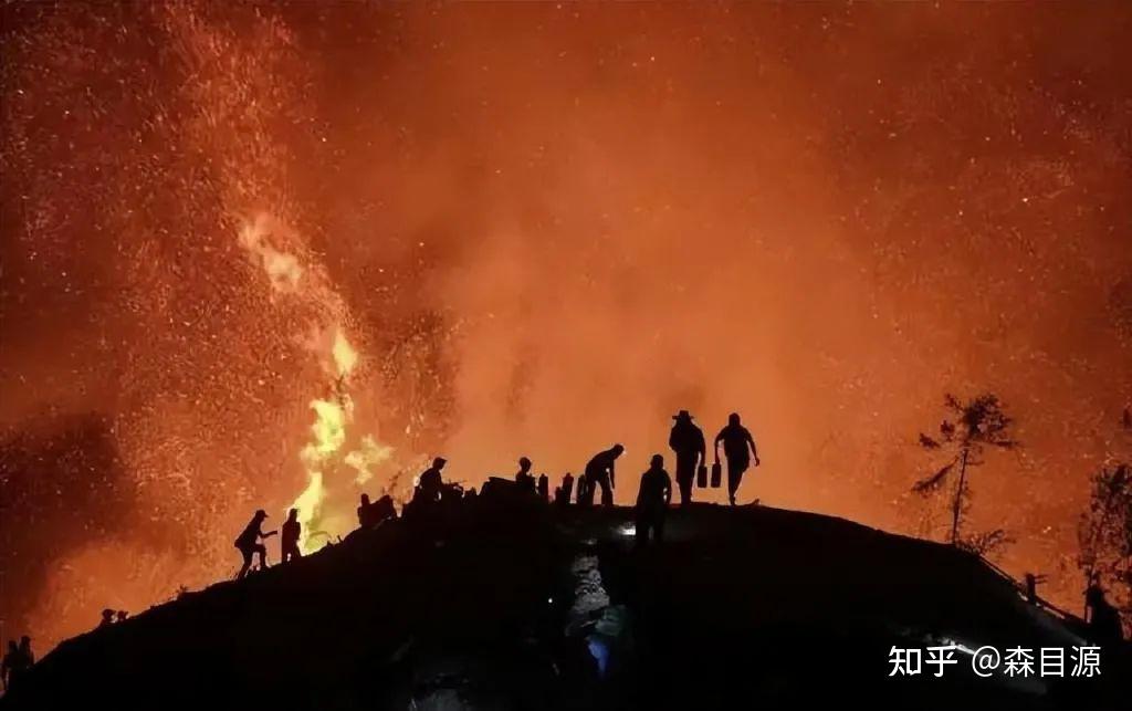 重庆百年一遇森林山火，王牌之师云南森林消防“以火攻火”创造奇迹 - 知乎