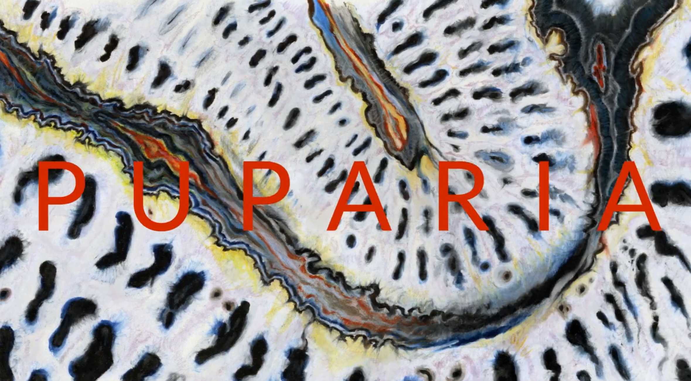 《puparia(蛹梦)》玉川真吾——今年我看过最好的动画