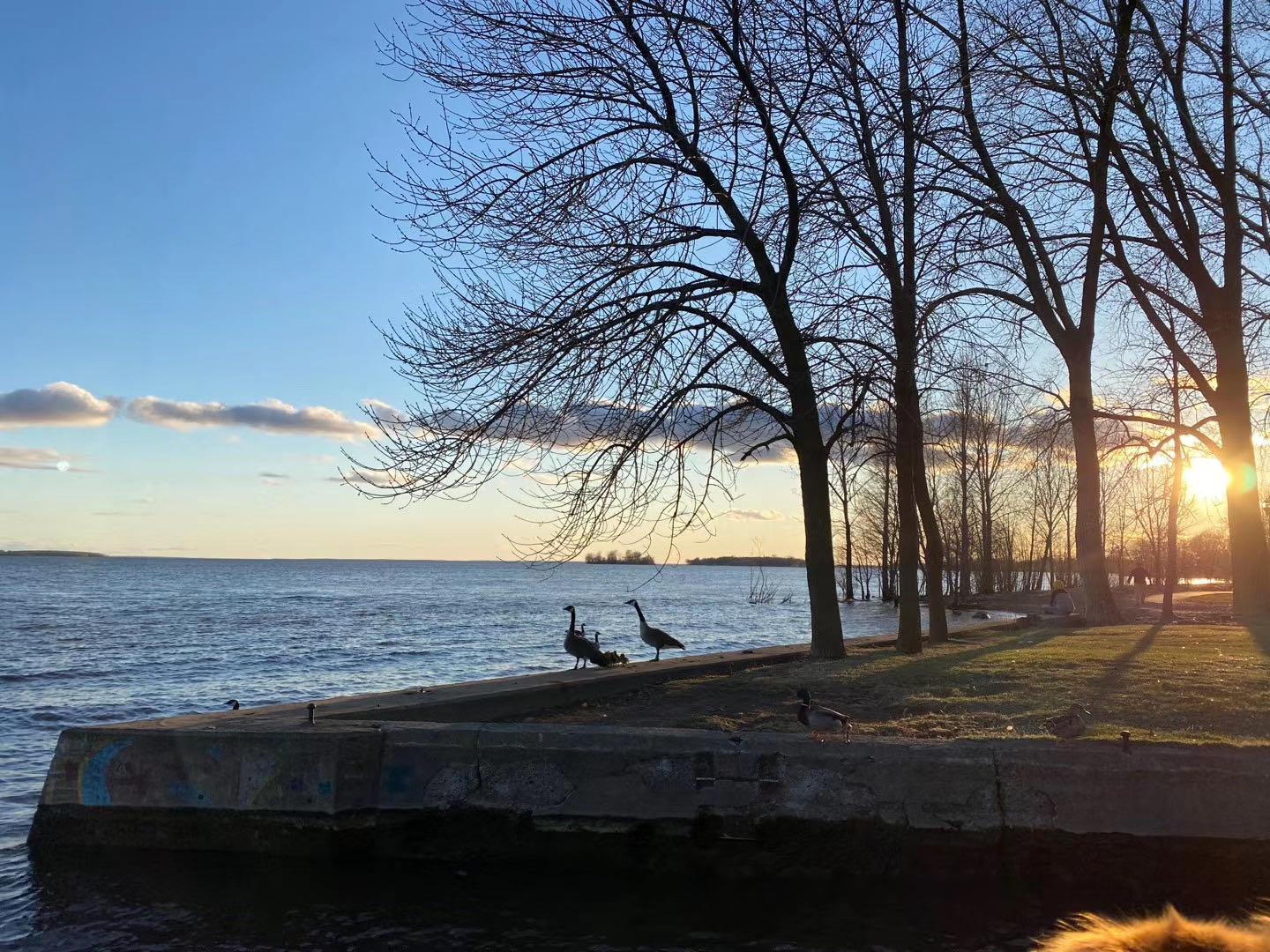 蒙特利尔西岛房地产介绍