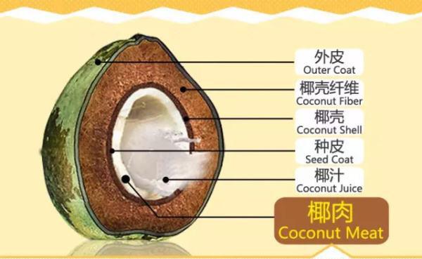 菩植椰子粉---广而告之