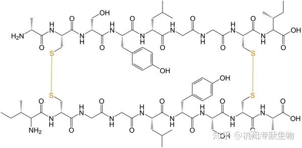 详解多对二硫键环肽的合成 知乎
