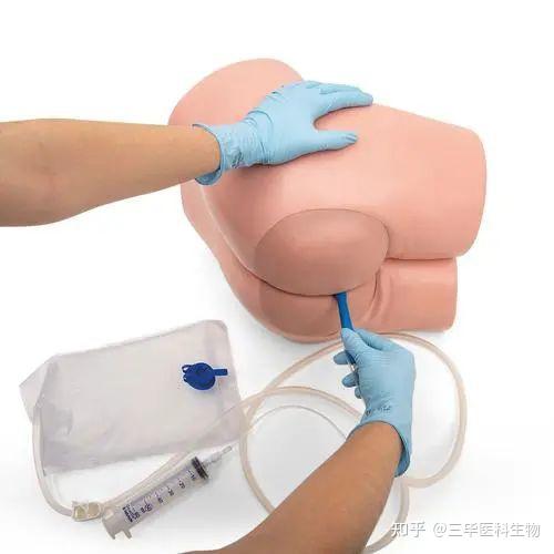 教学模型灌肠和直肠检查训练模型