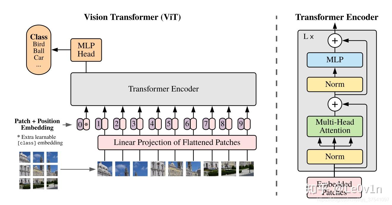ViT (Visual Transformer) - 知乎